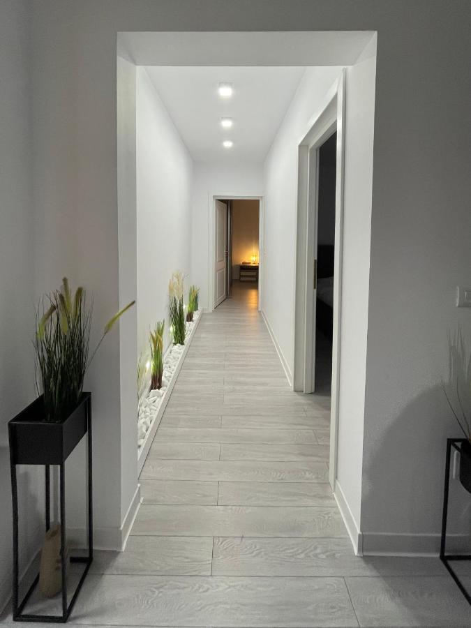 Oxana Apartments - 3 Camere - Timisoara Exterior photo