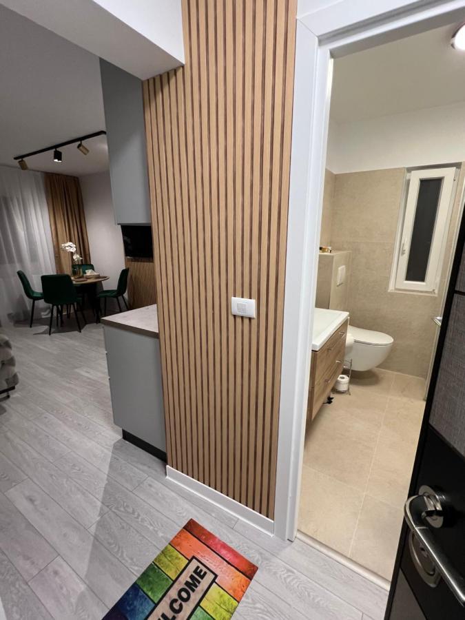 Oxana Apartments - 3 Camere - Timisoara Exterior photo