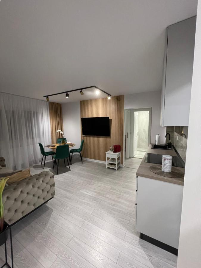 Oxana Apartments - 3 Camere - Timisoara Exterior photo
