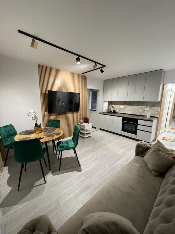 Oxana Apartments - 3 Camere - Timisoara Exterior photo