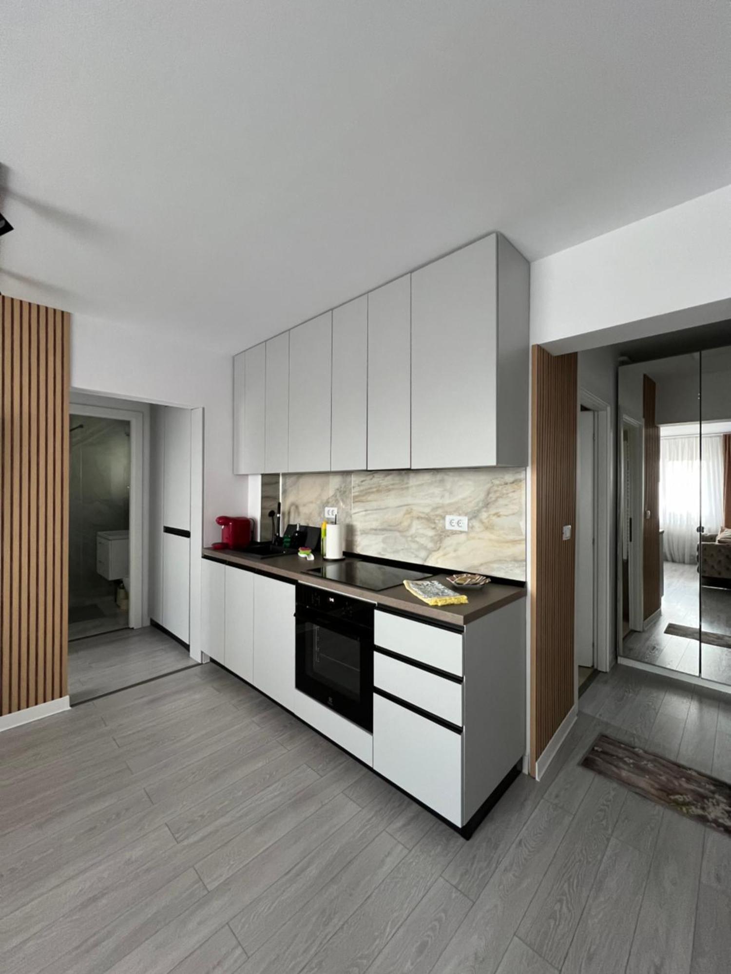 Oxana Apartments - 3 Camere - Timisoara Exterior photo